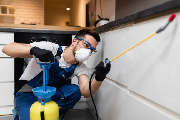 Best Bed Bug Extermination  in Albany, GA