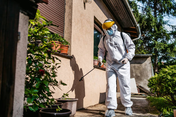 Professional Pest Control in Albany, GA