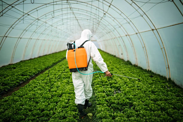 Best Mosquito Control Services  in Albany, GA