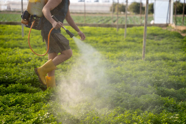 Best Pest Prevention Services  in Albany, GA