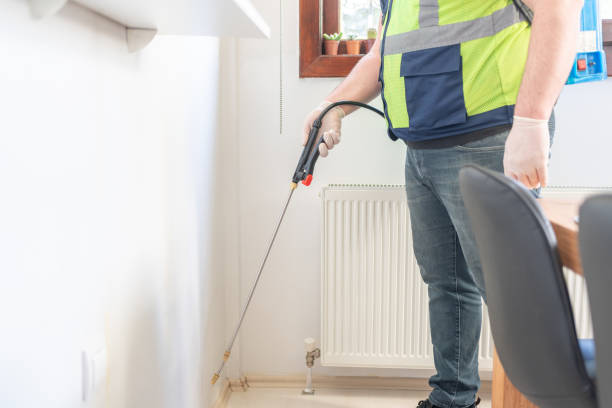 Wasp Removal Services in Albany, GA