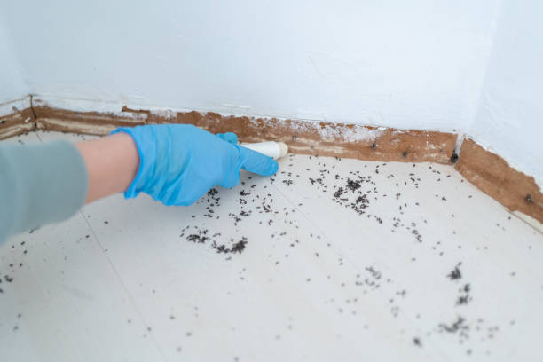 Best Emergency Pest Control  in Albany, GA