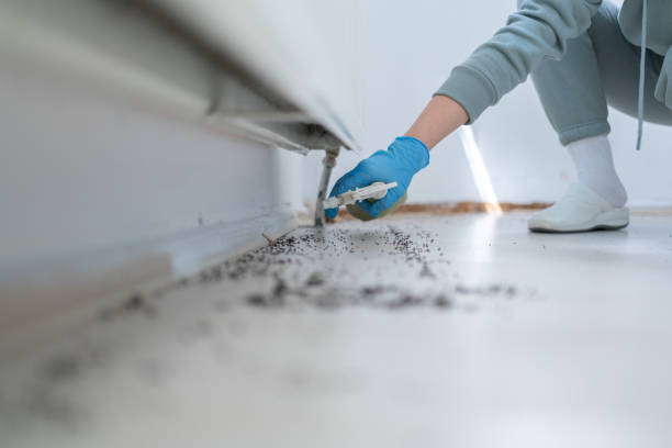 Best Rat Extermination Near Me  in Albany, GA