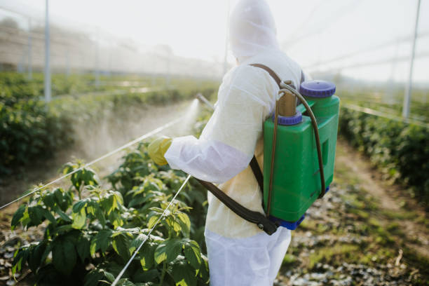 Best Pest Control Near Me  in Albany, GA